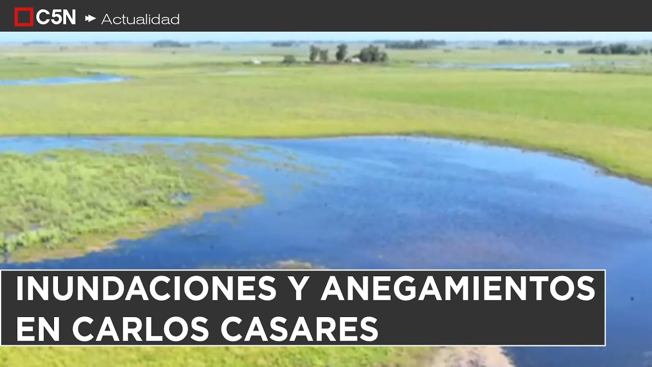 INUNDACIONES y ANEGAMIENTOS en CARLOS CASARES: KIL&Oacute;METROS de CAMPO BAJO el AGUA