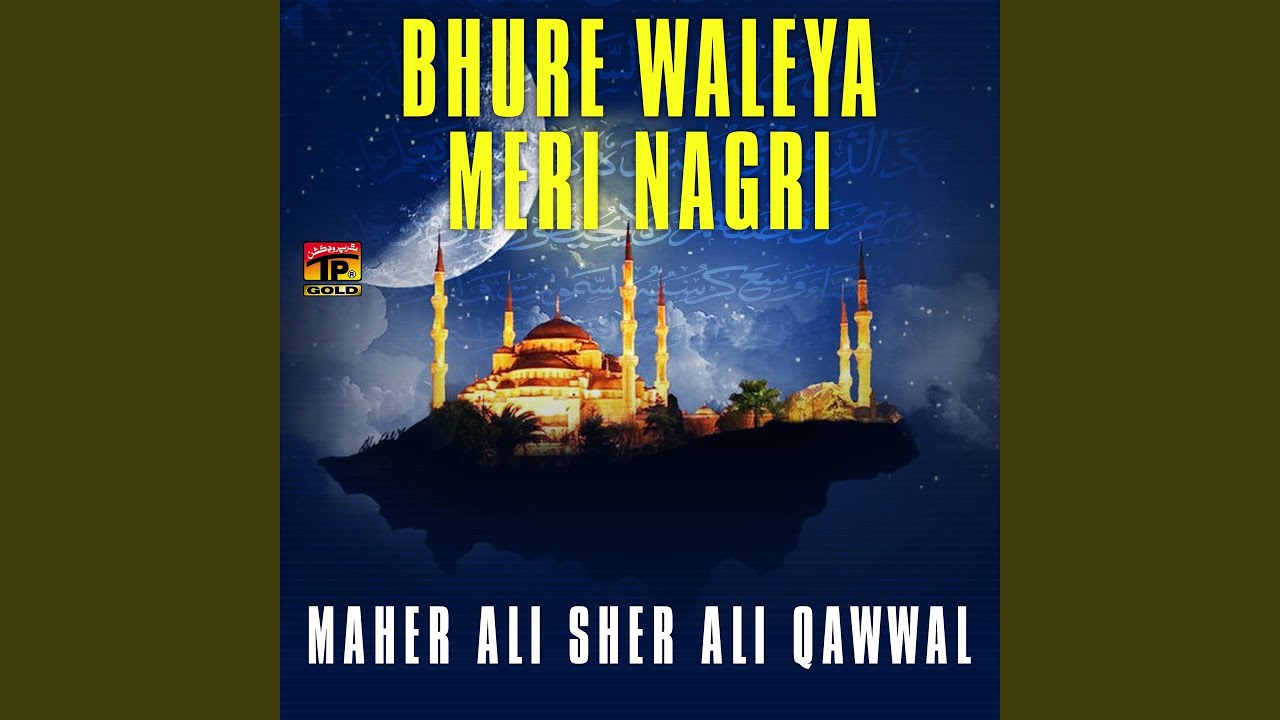 Ya Nosho Sarkar Main Tere Dar (feat. Sher Ali Qawwal)