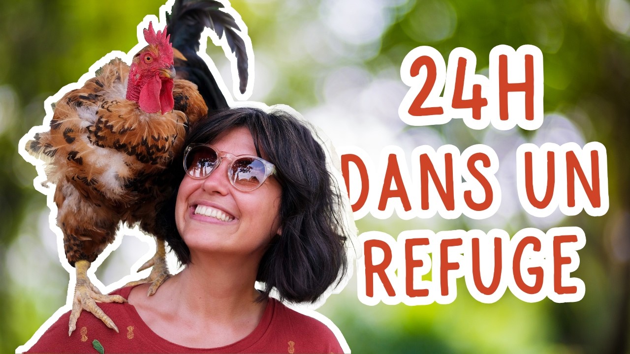 1 JOURNÉE DANS LA PEAU D'UN BÉNÉVOLE AU REFUGE LES 3 DINDES 🐷🐮🐔🫏  (+ de 500 animaux sauvés !!)