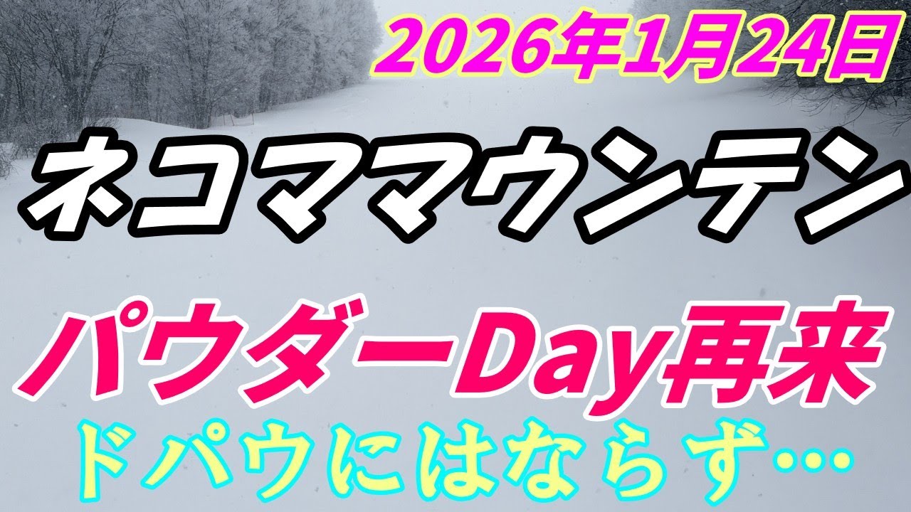 2026年1月24日　ネコママウンテン　大寒波到来でパウダーDay！