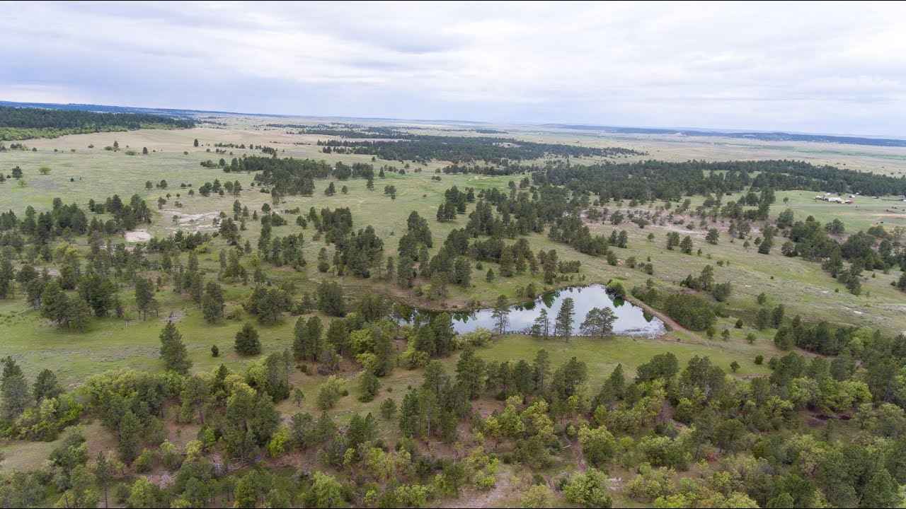 Forbes Wood Trust | Hulett, Wyoming Land for Sale