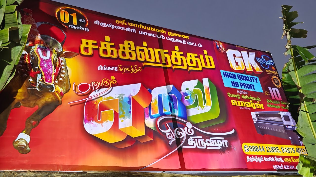 சக்கில்நத்தம் எருது விடும் திருவிழா