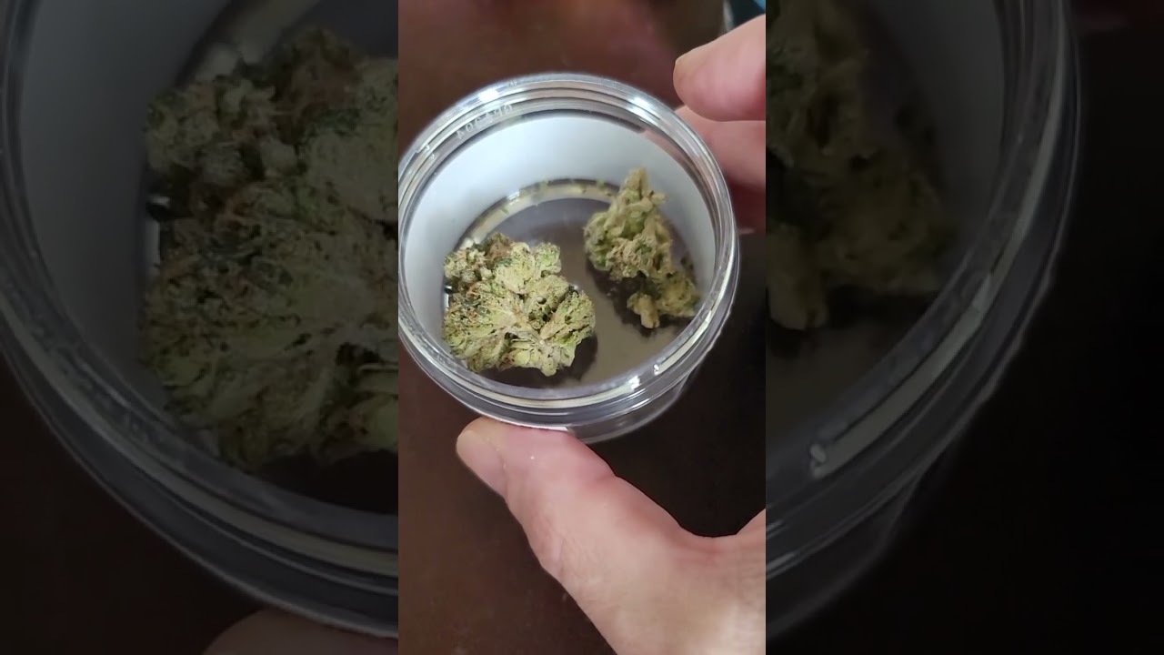 Cresco Lime Sorbet and Purple Octane Medical Marijuana review both Indica