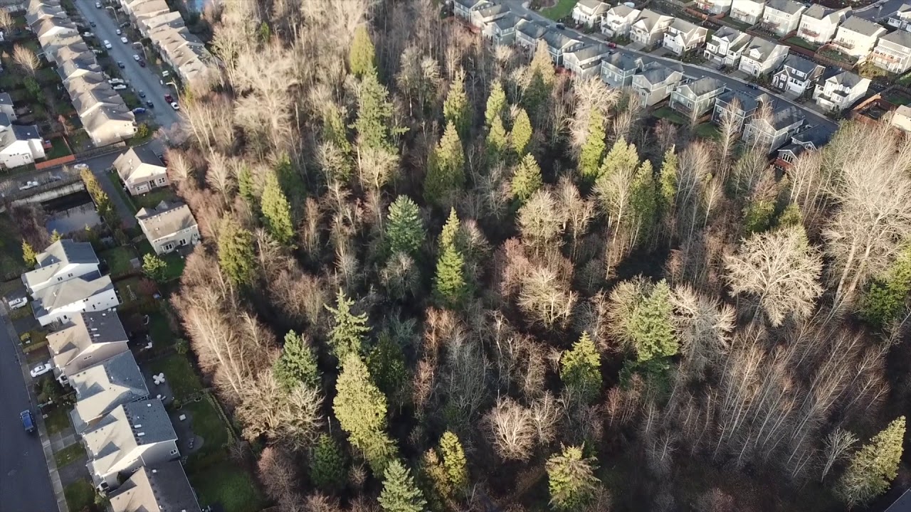 Drone Flight 12152019