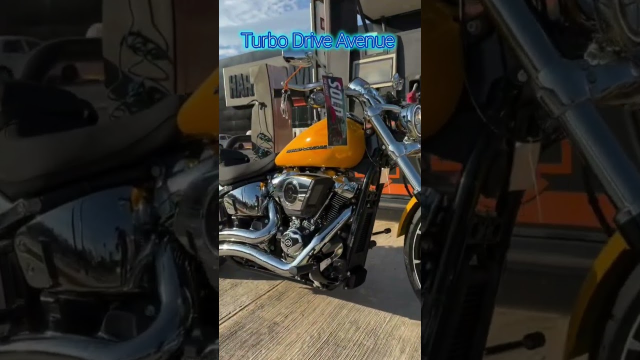 Harley-Davidson #turbodriveavenue #chopperstyle #shorts #motorcycle #harleydavidson #usa #biker #art