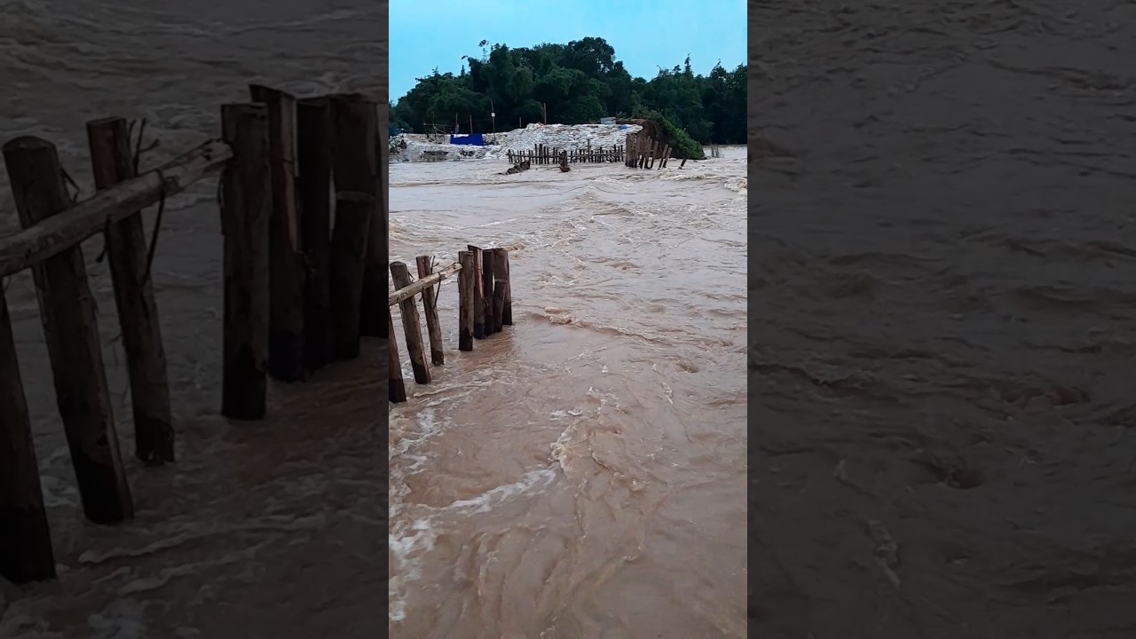 Baitarani Flood Live #short #floods #jajpur #baitarani