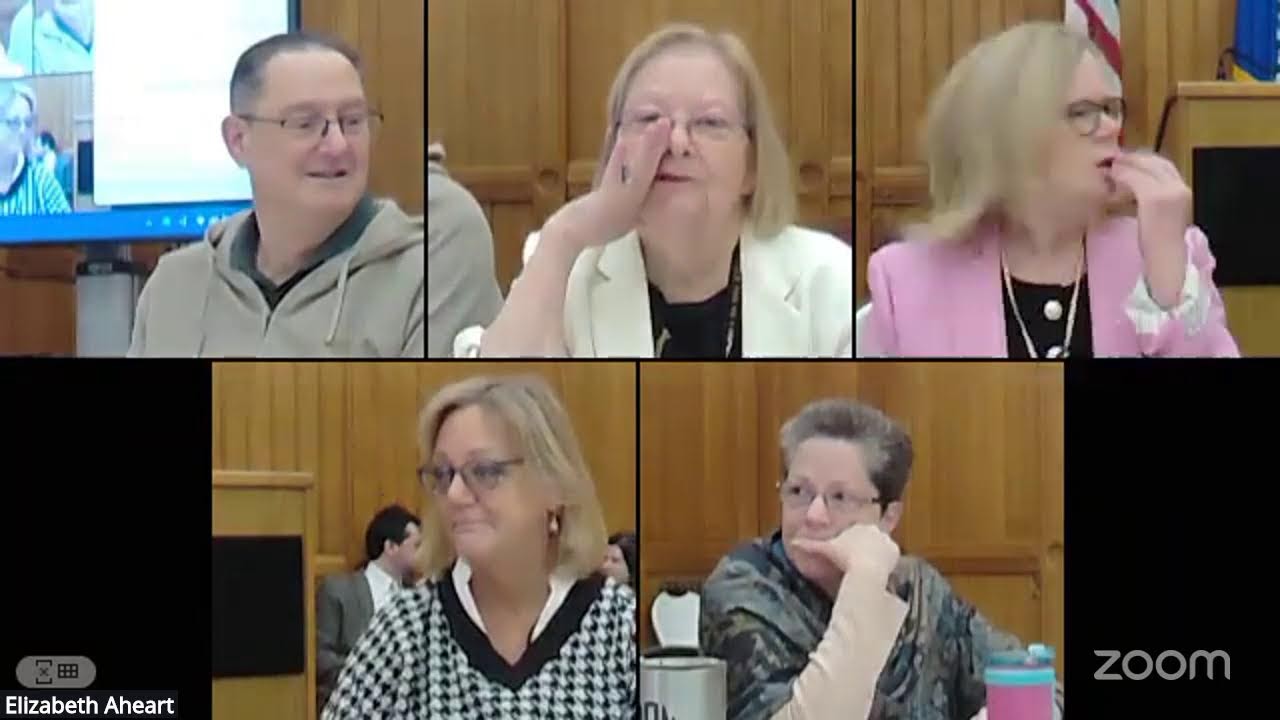 Aging Committee Nursing Home Working Group