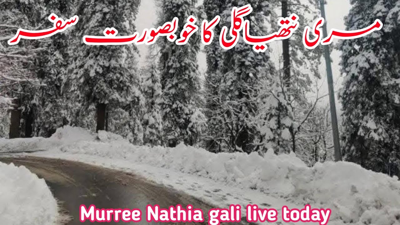 Murree live today | #murree snowfall 2026 | nathia gali today | #nathiagali snowfall update