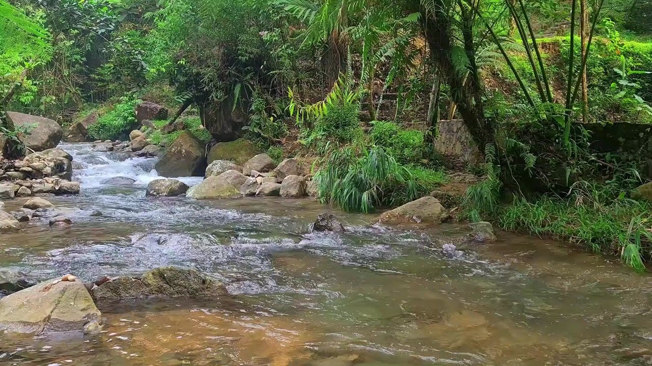 River Focus Ambience | Gentle Nature Sound for Concentration and Calm