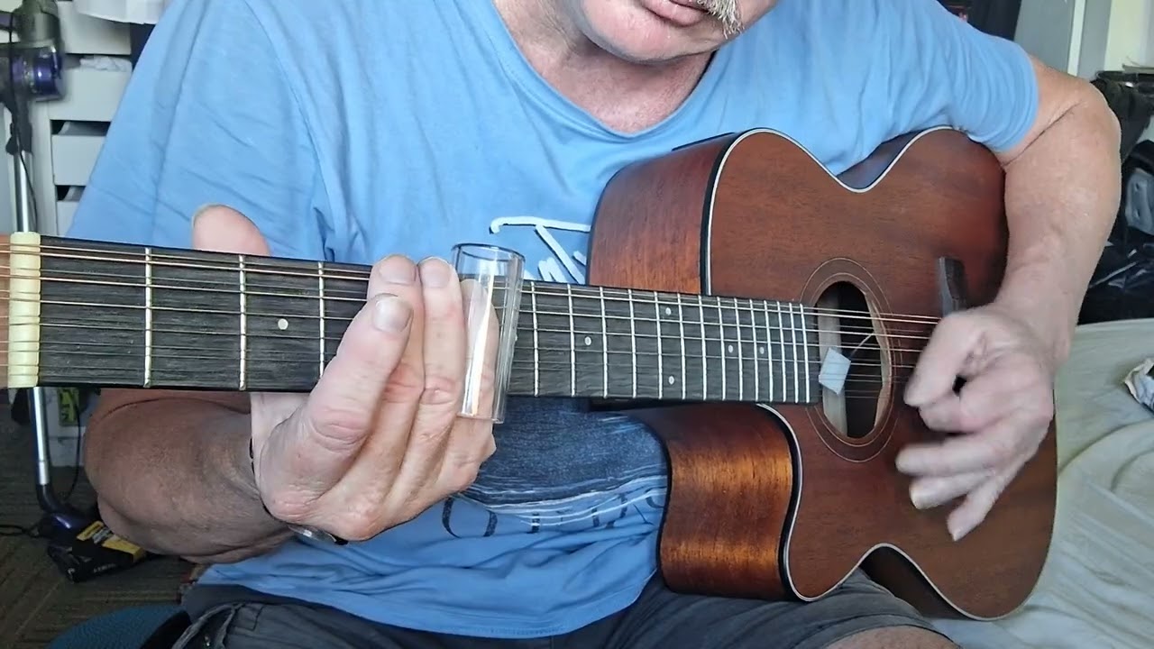 Twelve String Slide Guitar 