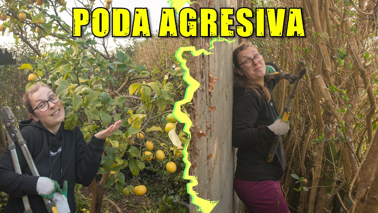 LIMONERO fuera de control y garaje SEPULTADO | Antes y Después