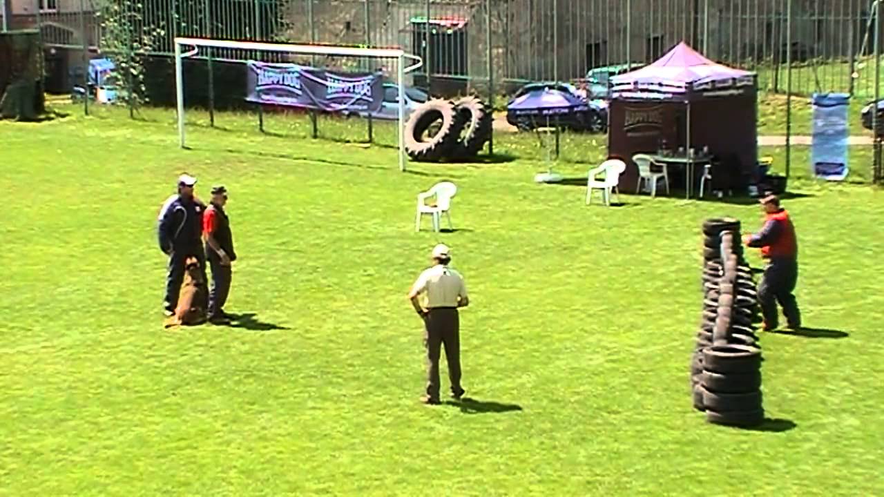 Goran z Hückelovy vily - sestřih obran (attack compilation)