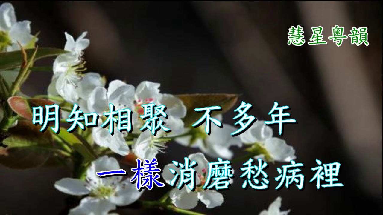 玉梨魂之翦情 梁耀安 吳美英