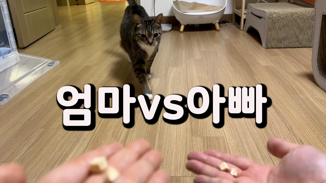 춘봉,첨지야 엄마가 좋아? 아빠가 좋아?