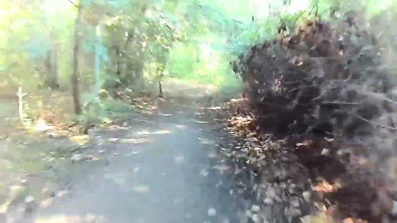 um den Albrechtshainer See (Autobahnsee)Sept  24
