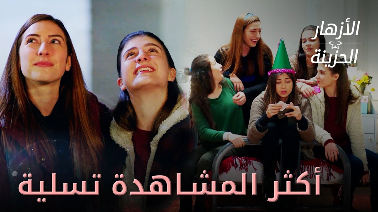 أكثر المشاهد تسلية ومتعة في المسلسل - مقتطفات من مسلسل الأزهار الحزينة