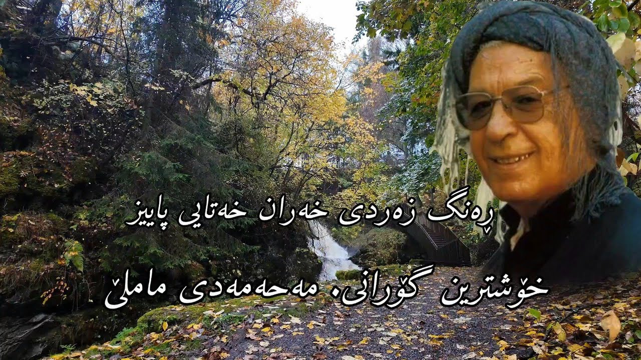 ڕەنگ زەردی خەزان خەتاێی پاییرە #ماملێ #محەمەدی_ماملێ #ڕنگ_زەردی_خەزان#muhamdi_mamele #mamle 