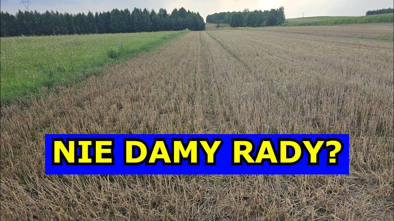Nie Poradzimy Sobie z Wielkim Polem? Jak Zagospodarować Pole, żeby było MNIEJ PRACY. Dom infouprawa.