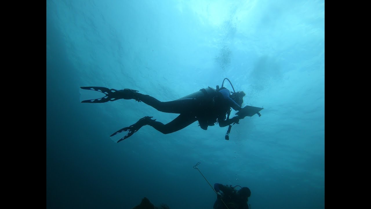 A day in the life of our Reef Conservation volunteer!