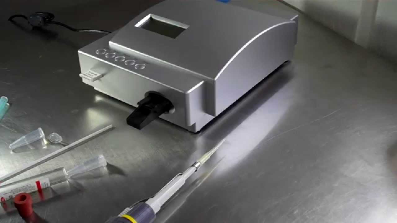 Canine Progesterone Testing - Analyzer (786) 724-8761