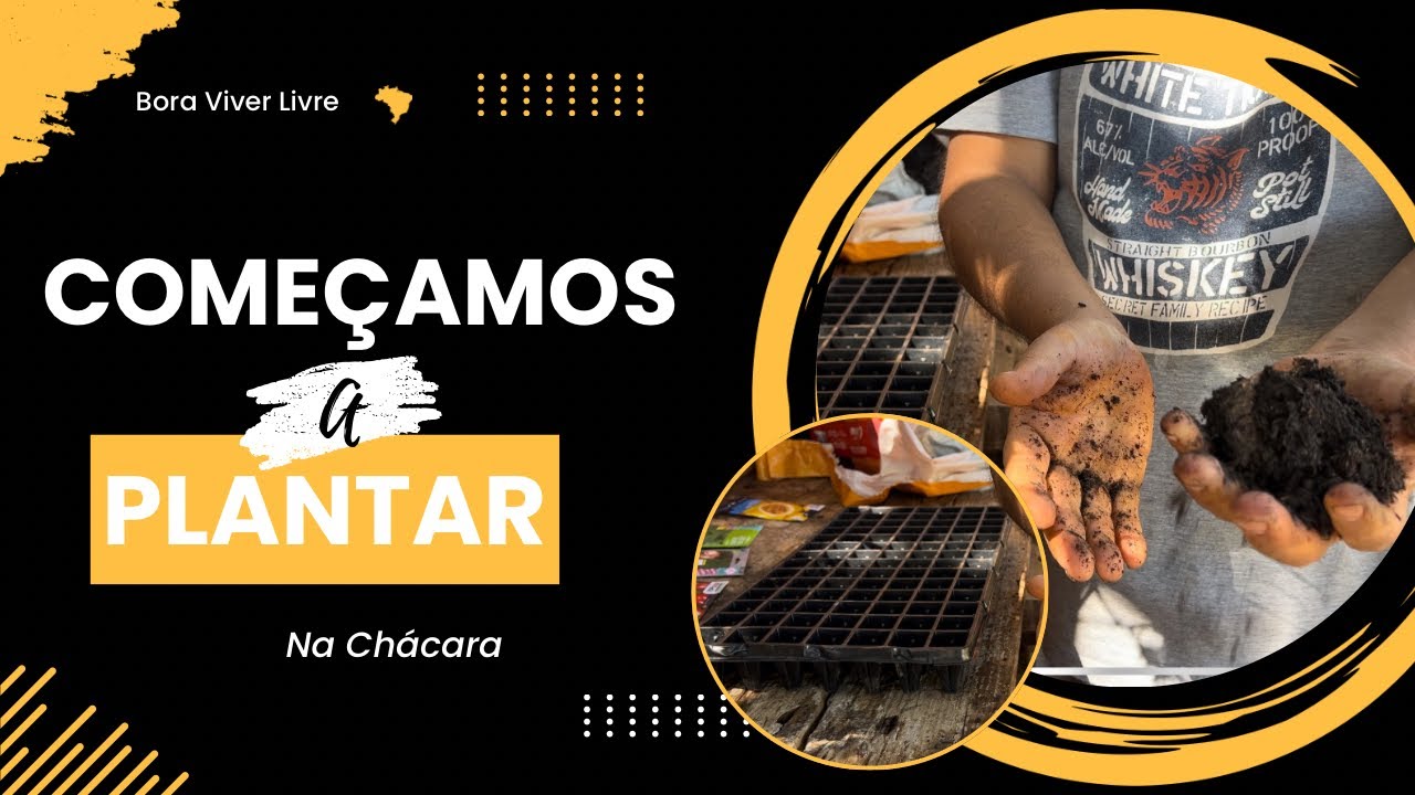 Mãos na Terra: A Satisfação de Plantar na Roça