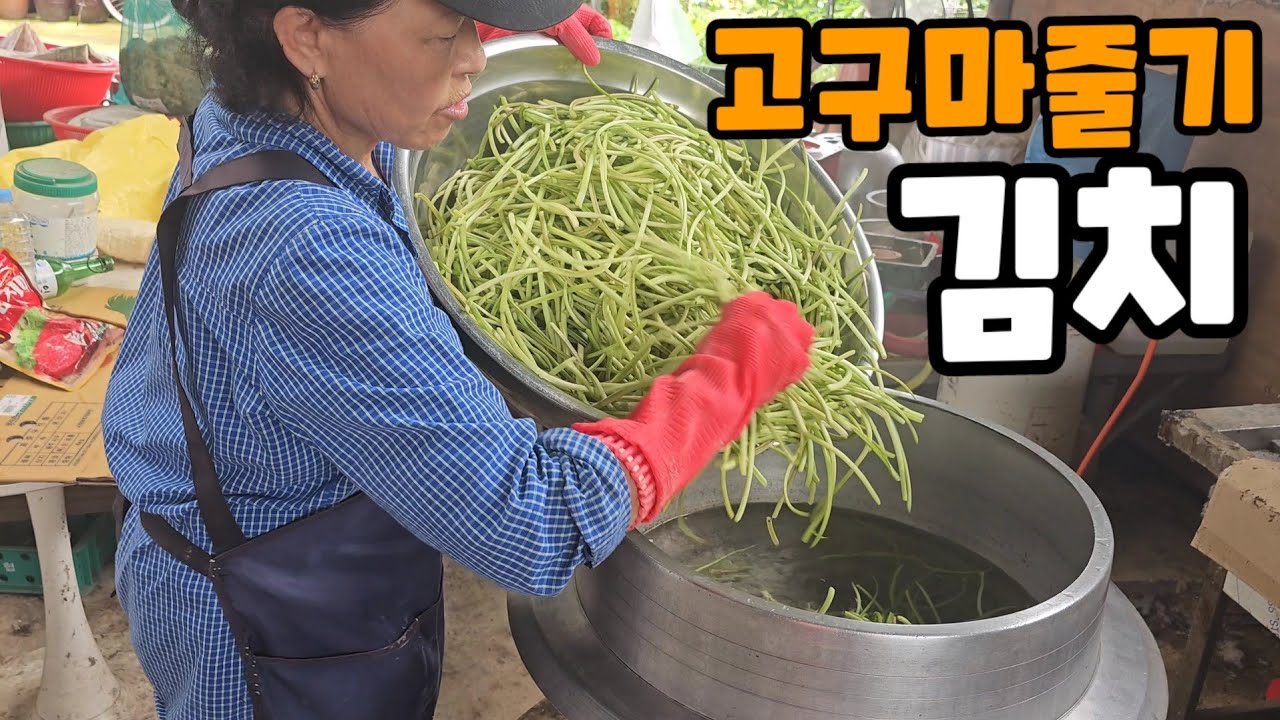 고구마줄기 껍찔까서 김치담궜어요^^