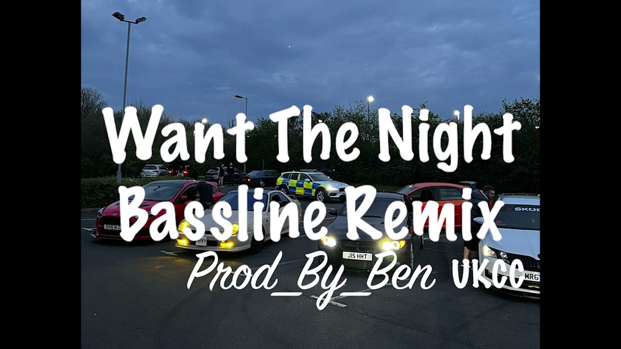 Want The Night Bassline Remix