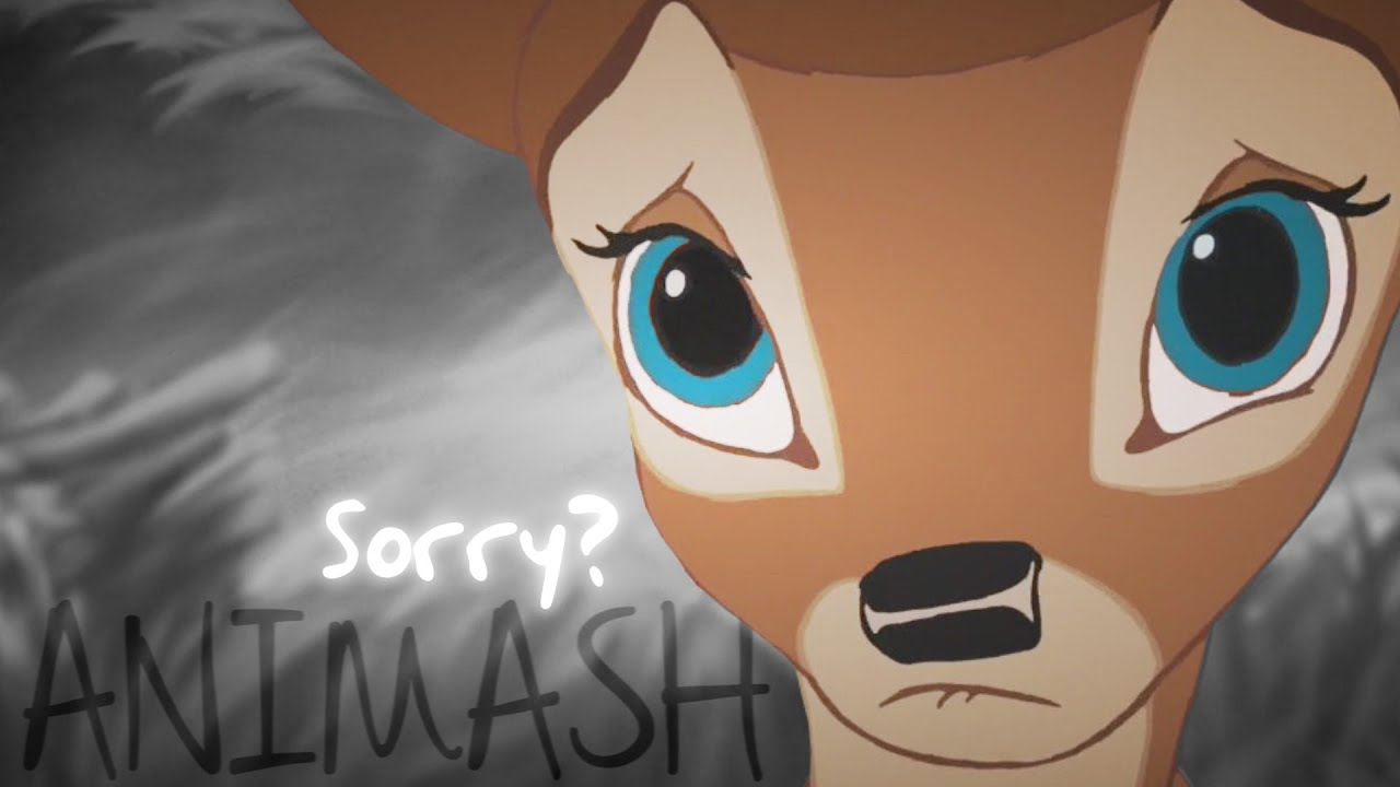 Animash: Ｓｏｒｒｙ？ (4K SUBS!)