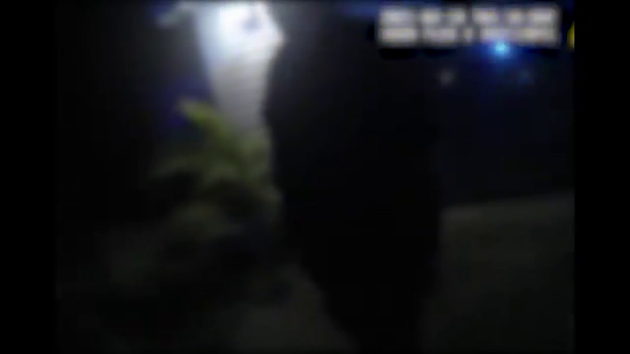 Woman arrested in hit-and-run involving Volusia County Sheriff Mike Chitwood