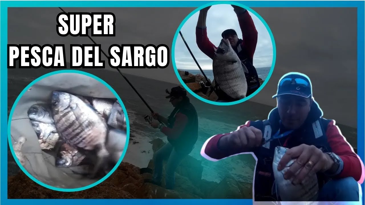 PESCA del SARGO gran JORNADA ¡UNO TRAS OTRO!