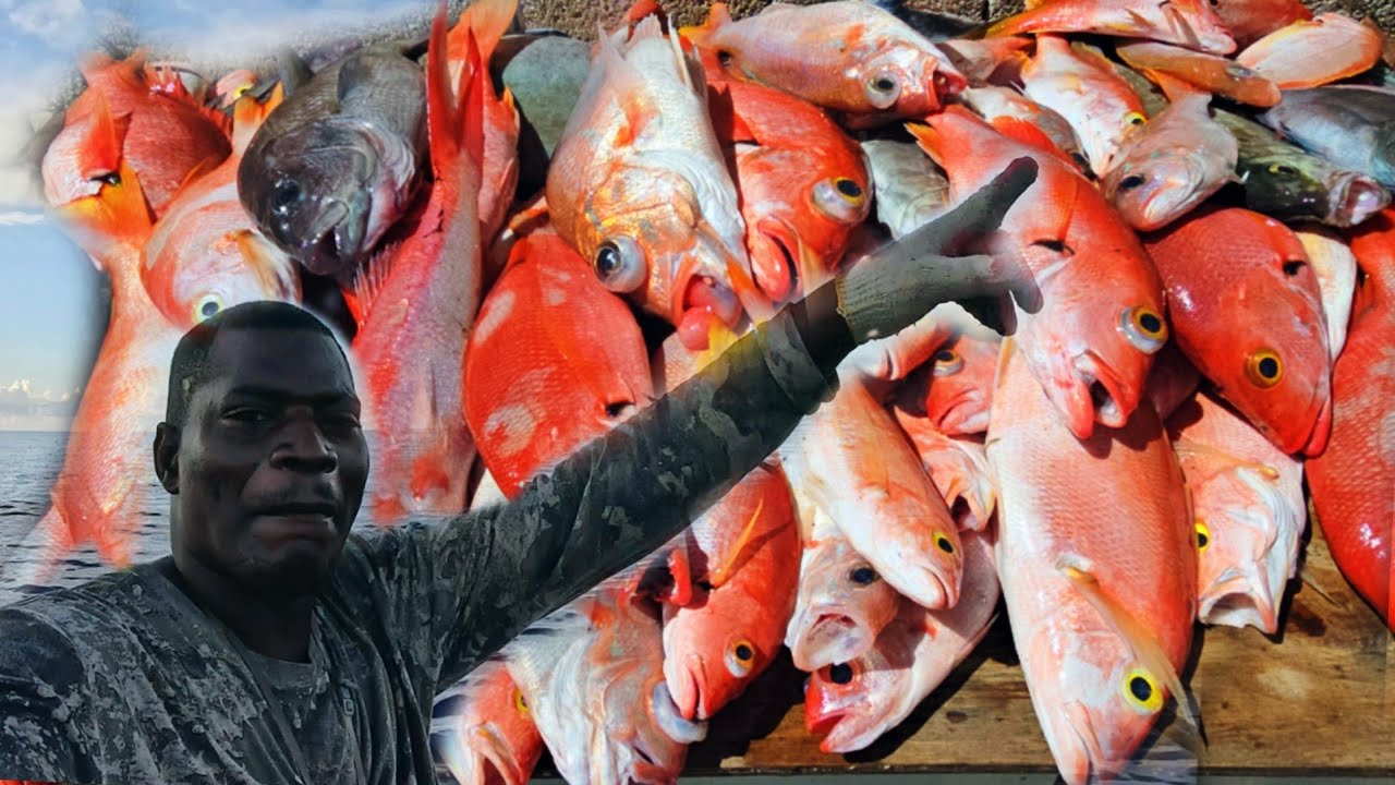 Early morning fishing offshore until night in the dark catching red snapper. Jamaican Jerk fish