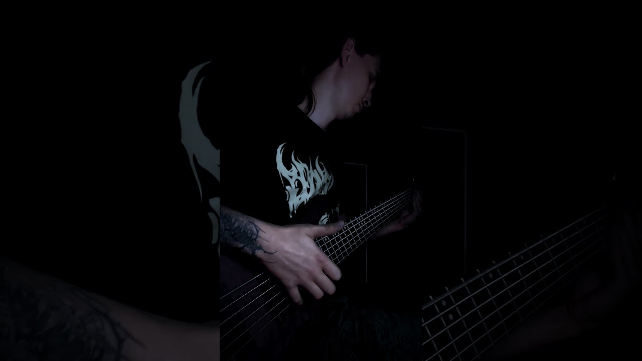 The Holocene Mess - Bass playthrough 2024