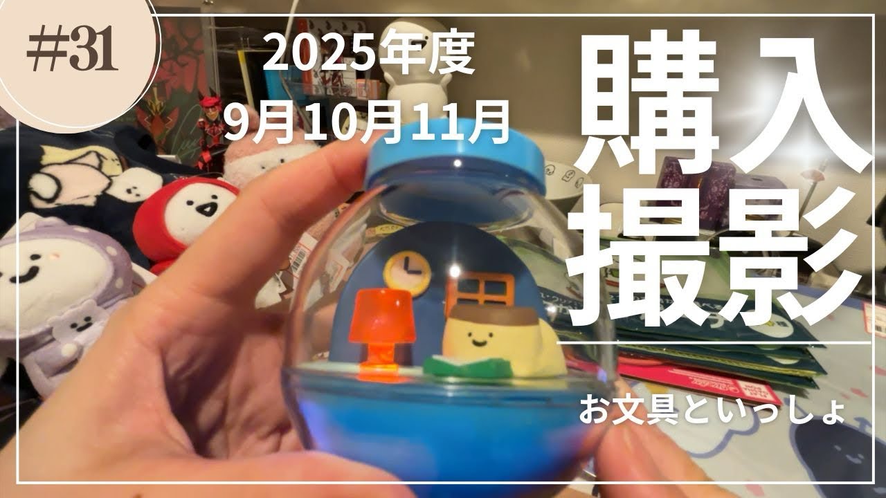 【お文具といっしょ】2025年度9月10月11月に買ったグッズたちを撮影した【お文具さん】