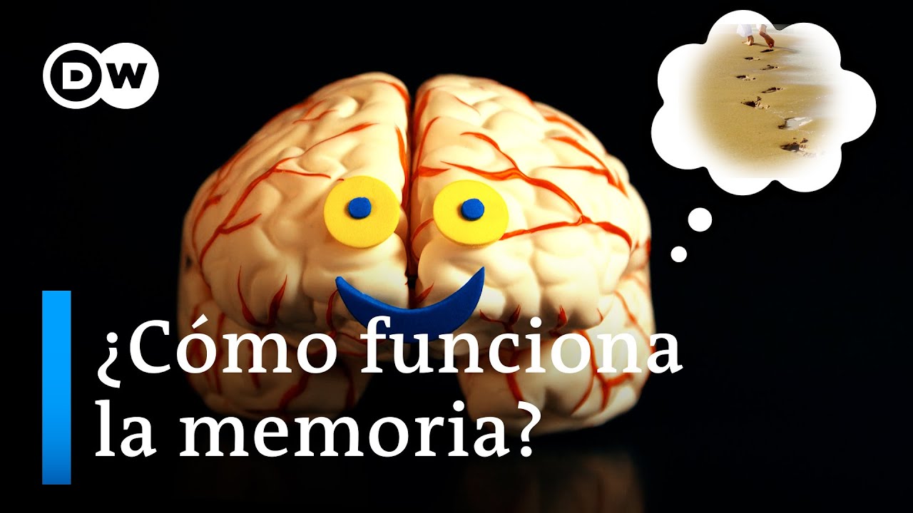 Nuestra memoria: &iquest;c&oacute;mo trabaja y qu&eacute; le hace bien?