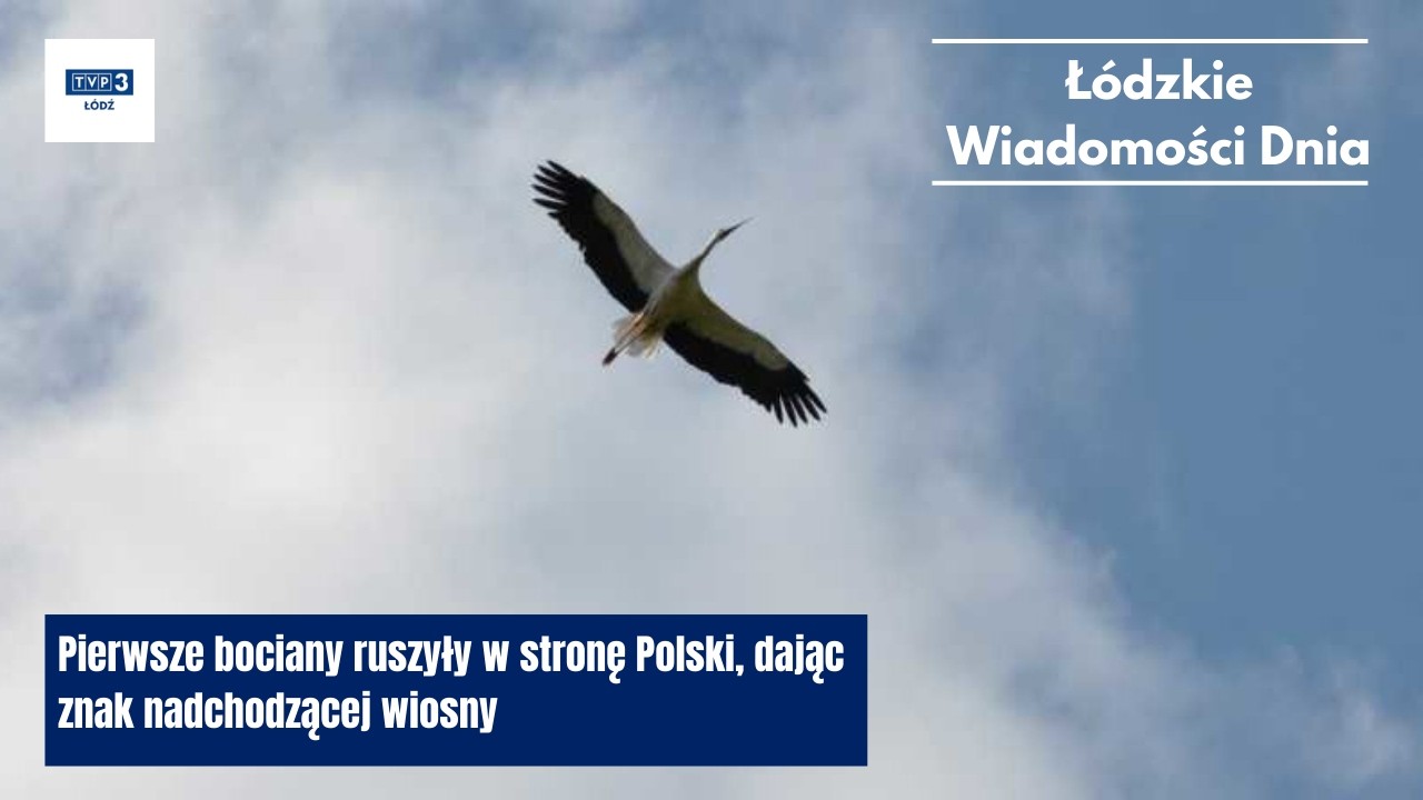Pierwsze bociany ruszyły w stronę Polski, dając znak nadchodzącej wiosny