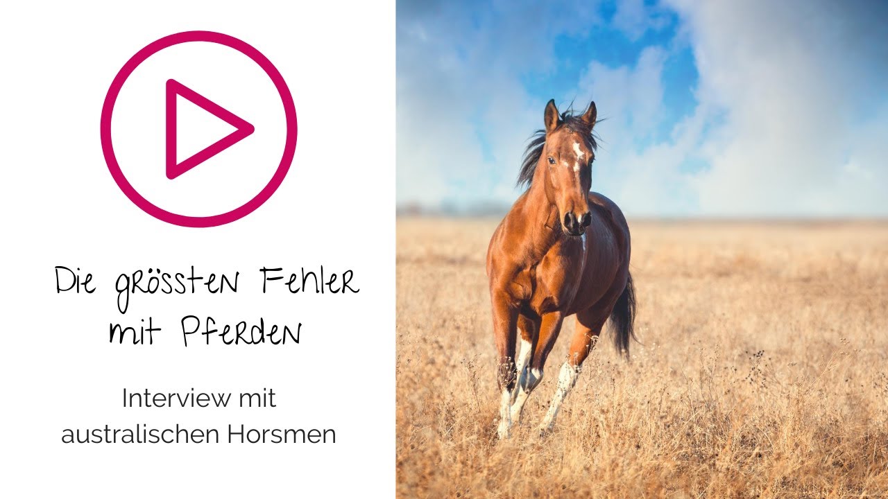 Die größten Fehler im Umgang mit Pferden? Meredith and Shane Ransley von Quantum Savvy im Interview