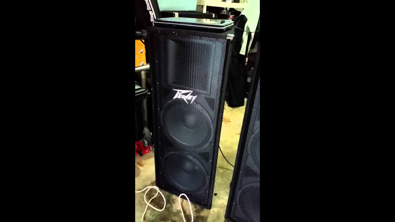 Peavey PV215 Review