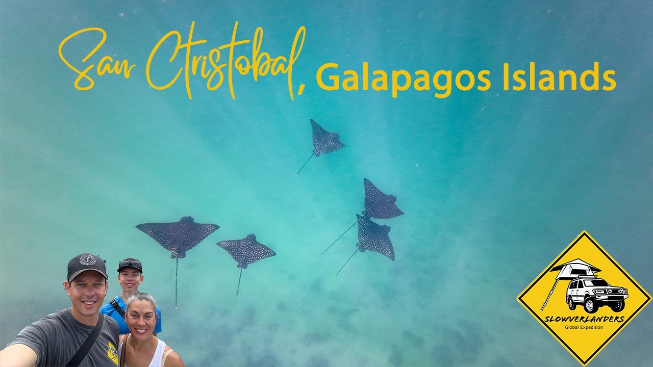 Ringing in the New Year in San Cristobal