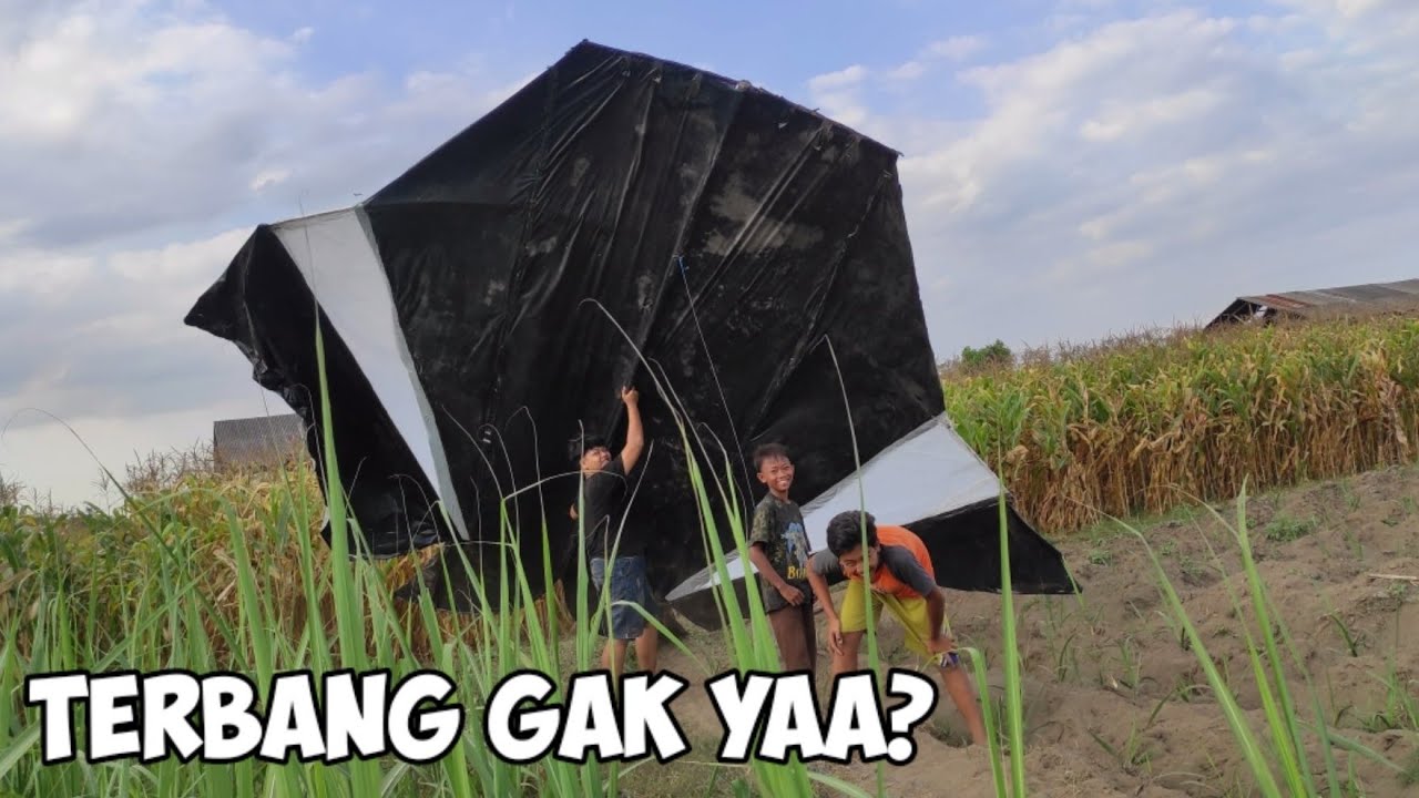 PENERBANGAN COTEK BIG SIZE 5,5 METER BIKINAN BARENG BOCIL