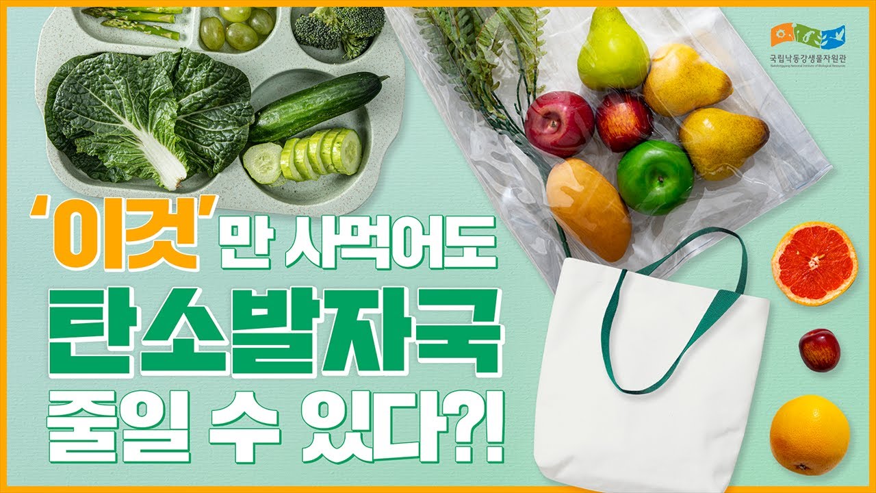탄소중립 실천 