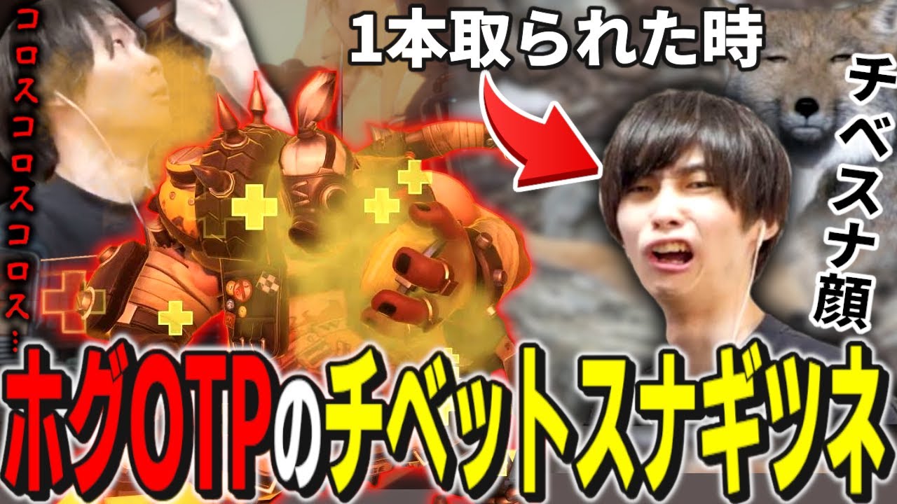 ホッグで試合を破壊していくチベットスナギツネ系OTP配信者メルトン｜OW2 配信ダイジェスト【2024/4/20】【オーバーウォッチ2】