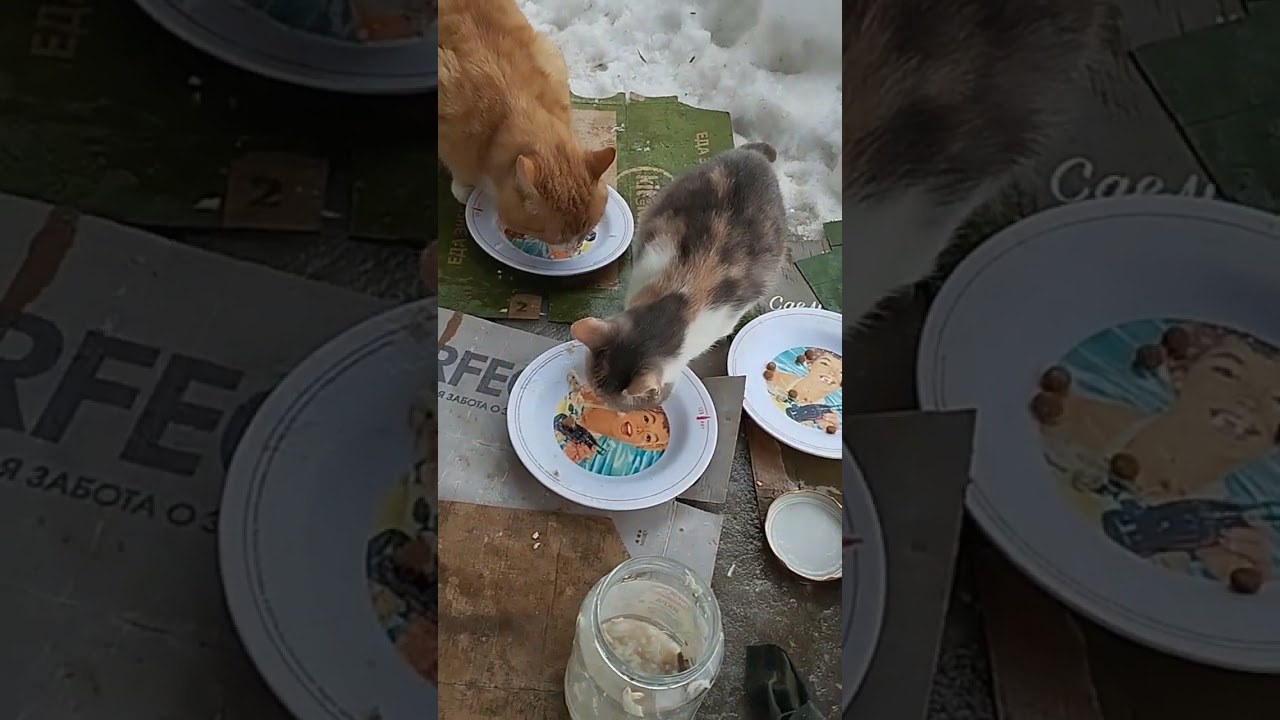 Не знаешь, что лучше??? Но такая весна труднее, чем зима 🤔🙀