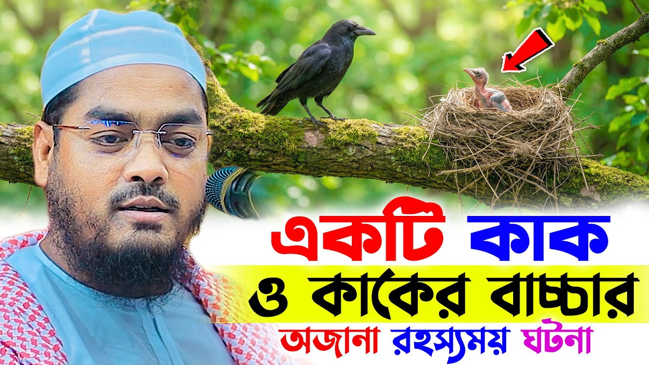 কাক ও কাকের বাচ্চার ঘটনাটি শুনে সবাই স্তব্ধ! । হাফিজুর রহমান সিদ্দিকী । Hafizur rahman waz 2026