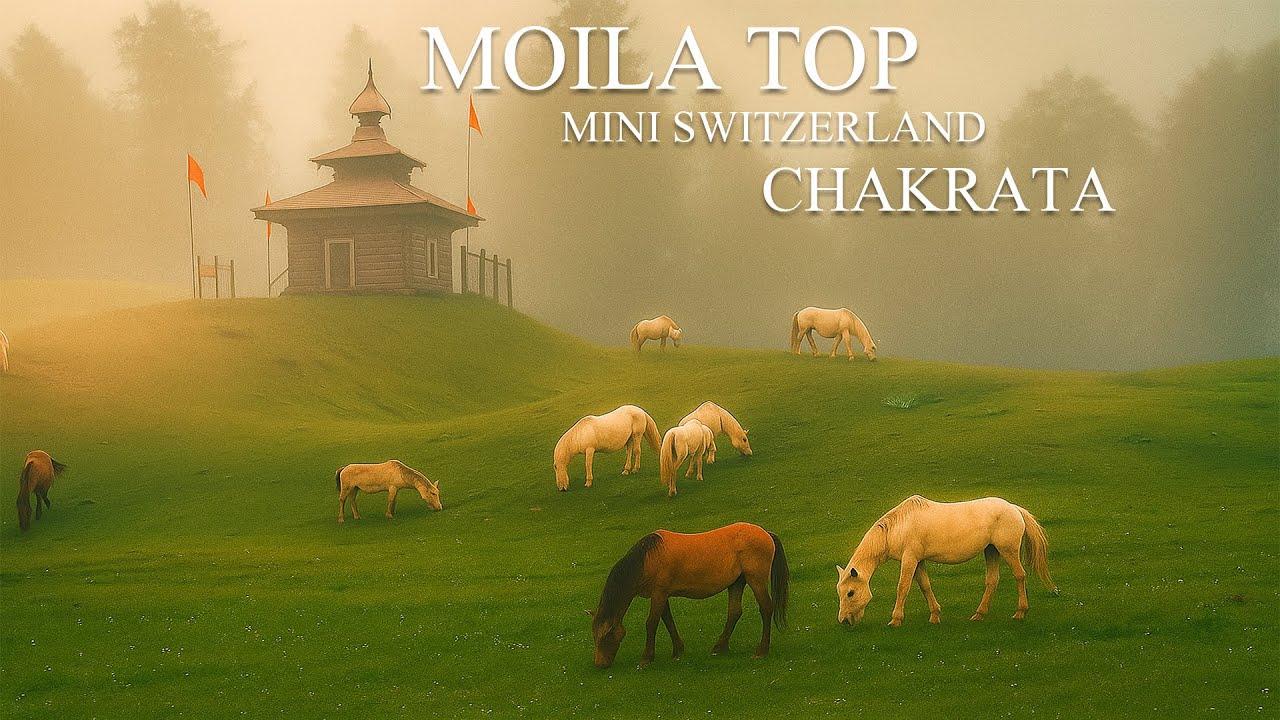 Moila Top Trek | Chakrata to Moila Top | Moila Top Chakrata | Chakrata tourist places