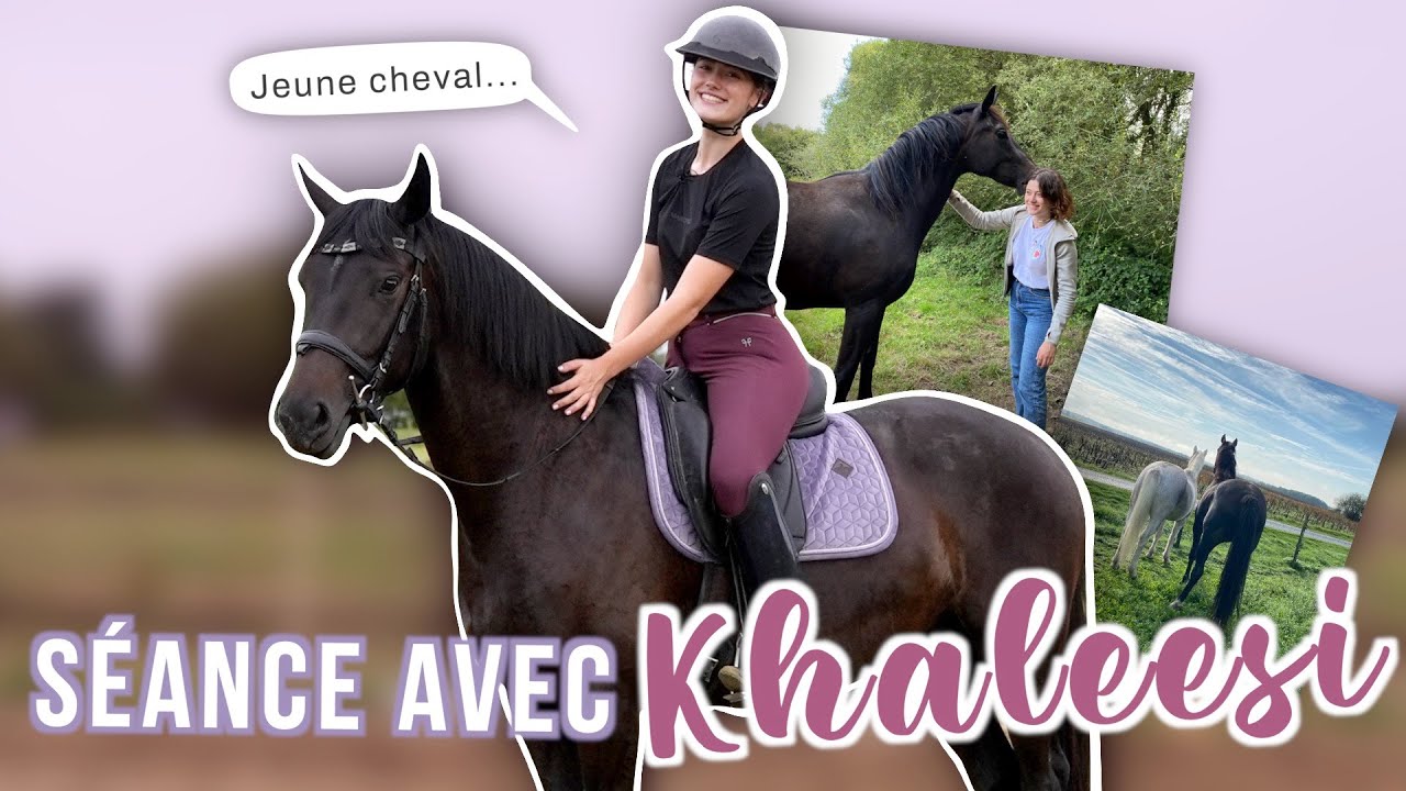 S&Eacute;ANCE MONT&Eacute;E AVEC MON JEUNE CHEVAL 🥰 (on commence le travail !)