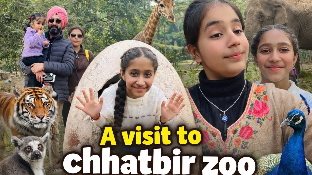 A visit to chhatbir zoo @NoorHargunTaqdeer-w2j @Viral @vide @chhatbirzoo126 
