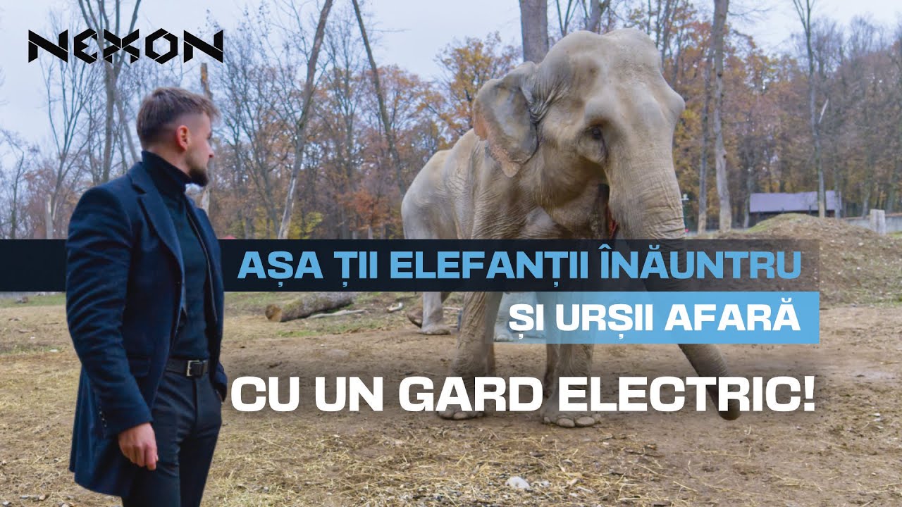 Gard electric care oprește chiar și elefanții!