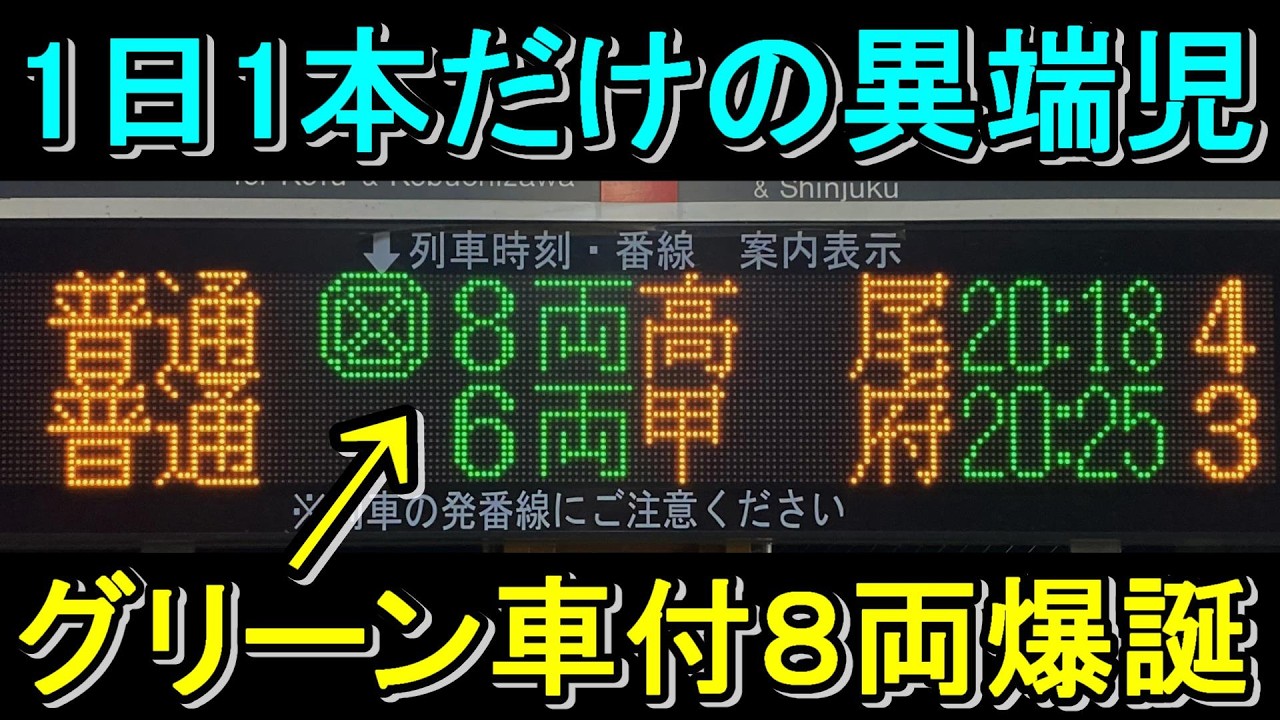 【中央線8両】グリーン車の泣き別れ運用が爆誕！1日1往復の激レア運用が面白すぎた！