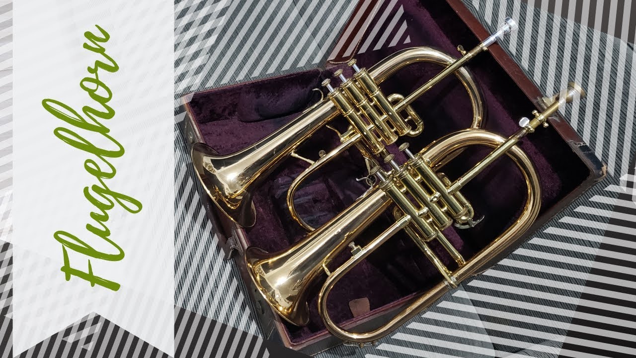 O Fluguelhorn 