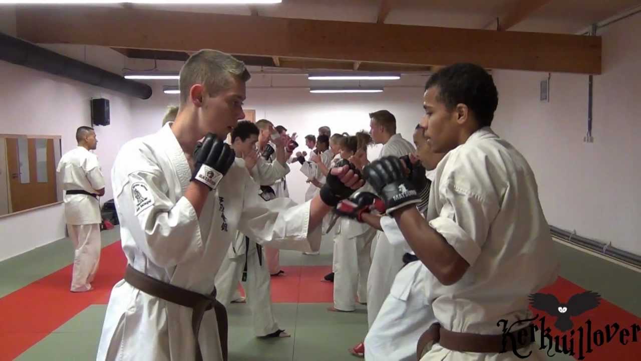 Kyokushin, Ashihara, Shinkyokushin joined combat training 23 sept 2012 Delfzijl